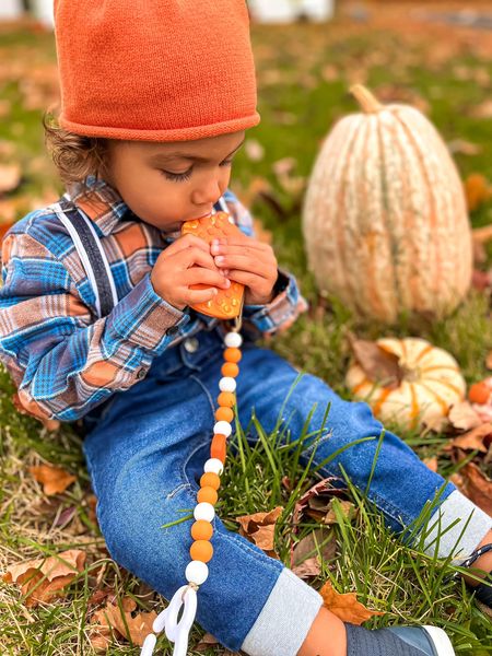 Pumpkin Spice Everything Clip + Teether Set