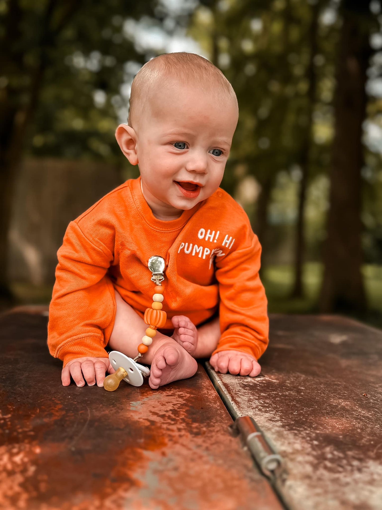 Pumpkin Spice Pacifier Clip